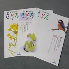 【匿名配送】月刊糖尿病ライフさかえ　2025年1月～3月　3冊セット