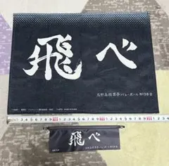 Item thumbnail for item 23e8c6a2-45e8-4fe5-aead-4e12ad2c32e7