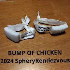 BUMP OF CHICKEN 2024 SpheryRendezvous