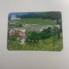 椹平 棚田カード 山形県