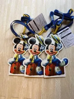 ディズニーバケーションパッケージ　チケットホルダー