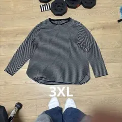 UNIQLOボーダーロンT