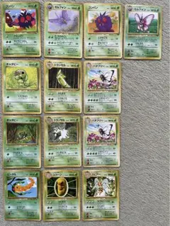 【旧裏　ポケカ】バタフリー進化ライン、虫ポケモンまとめ売り(草タイプセット)