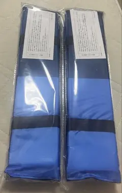 川崎フロンターレ　鹿島戦　シートクッション　2個セット　新品　9/19