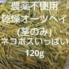 【農薬不使用乾燥オーツヘイ(茎のみ)】《ネコポスいっぱい120g》生産農家直送。のサムネイル