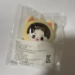 SEVENTEEN ジュン ぬいぐるみ マスター - メルカリ