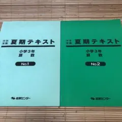 能開センター 小学3年 算数・国語 夏期テキスト デイリー&確認テスト 中学入試