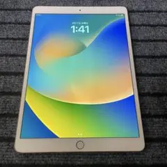 13【早い者勝ち】 iPad Pro 10.5 256GB ローズゴールド