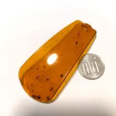 美しい癒し携帯用ポケット靴べら鼈甲ベッコウべっこう調プラスチックコンパクト