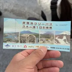 【最安値】富士急ハイランド 遊園地フリーパス 引換券のサムネイル