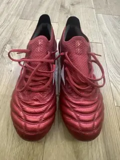 モレリアネオ4β