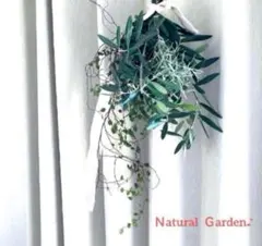 ✨フレッシュオリーブスワッグ♪約20✖︎30㎝