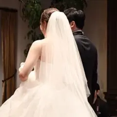 トリートドレッシング ベール 80×120 ギャザー有り