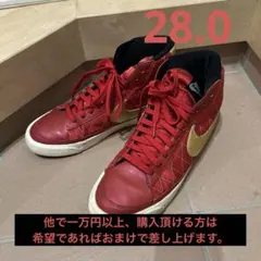 NIKE Blazer Mid 09 ND 28.0cm