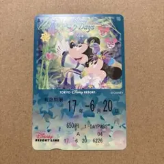 迪士尼自由乘車券 七夕