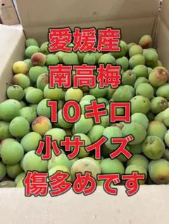 激安！今だけ！和歌山産 南高梅 10kg 訳あり品 傷や斑点有り - メルカリ