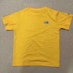 THE NORTH FACE ショートスリーブモンキーマジックティー
