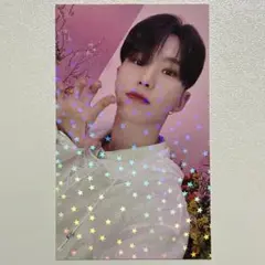 SEVENTEEN ALWAYS YOURS ユニバ ホシ トレカ