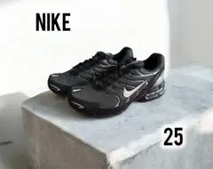 専用未使用　NIKE Air Max torch 4 トーチ4 25cm