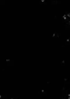 レイン様　専用