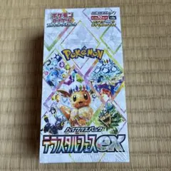 2026年最新】テラスタルフェスex box シュリンク付 6の人気