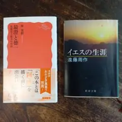 新書、文庫二冊セット