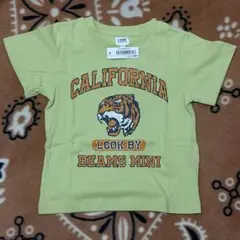 Item thumbnail for item 6165093e-b23a-4b9d-962e-9e7e9d09659f