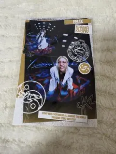 フィリックス karma accordion ポストカード 封入