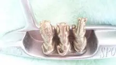 Item thumbnail for item 3e3a648f-7bec-4c79-bd73-0bb120792c89