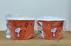 スヌーピー　スケーター　密閉保存容器　600ml　2個セット