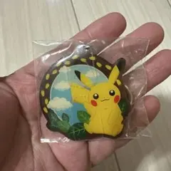 ポケモンセンター ステンドグラスボールチェーン イーブイver