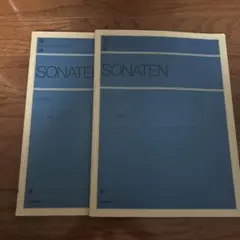 Item thumbnail for item e263e521-7830-45b5-acc3-1652e93b34c4