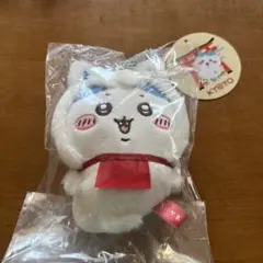 伏見稲荷なマスコットハチワレ