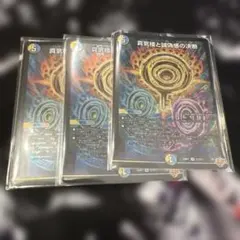 パーフェクトペテンシー 3枚 - メルカリ