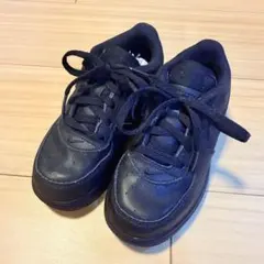 Item thumbnail for item 85f6cc10-d14c-4827-9149-a23acb9ed173