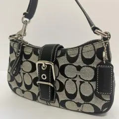 極美品✨コーチ　ソーホー　アクセサリーポーチ　ハンドバッグ　シグネチャー