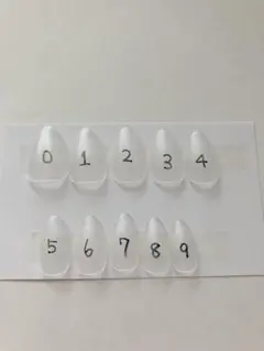 計測用ネイルチップ