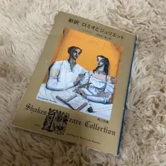 新訳 ロミオとジュリエット