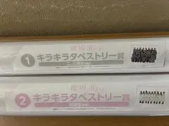 Item thumbnail for item c25e7a9e-7246-4ccb-9c61-52257627ca7b