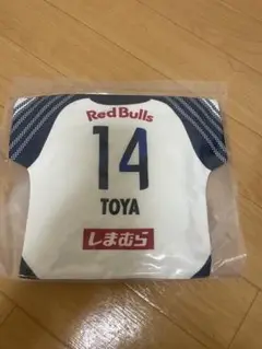 RB大宮アルディージャ　プレイヤーズクッション　泉柊椰