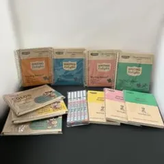 (11-289)penco Big Ring Notebook 4色セットその他