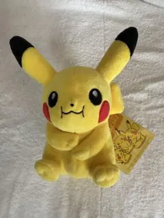 マイピカチュウ ポケモンセンター　もぐもぐ　オス
