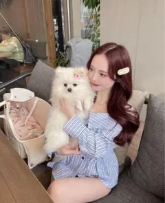 新品シャツelmyu