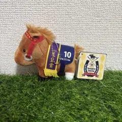 サージカル新子様 リクエスト 3点 まとめ商品