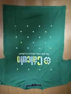 Item thumbnail for item 3beabc75-0d04-4336-bd08-f8d00de41faa