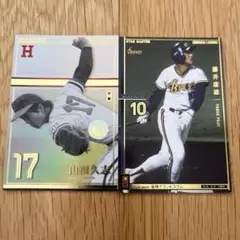オーナーズリーグ　山田久志　藤井康雄