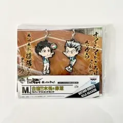 ハイキュー 木兎・赤葦 ラバーマスコットセット