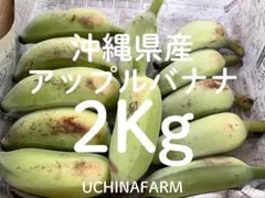 1日に数量限定！沖縄県産【アップルバナナ】箱込み2Kg(20本前後)のサムネイル