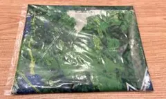 湘南ベルマーレ フラッグ　未使用　SHONAN & CLIMAX