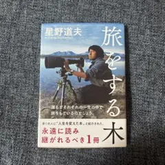 Item thumbnail for item ea2caf19-810c-424b-bb4b-ed2734b74d36